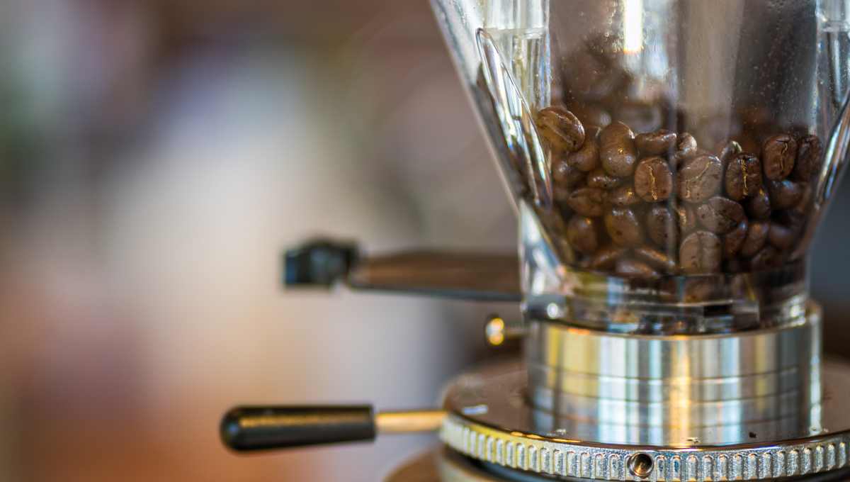 Best Coffee Maker with Grinder