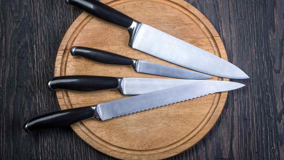 Best Steak Knife Set Under $100