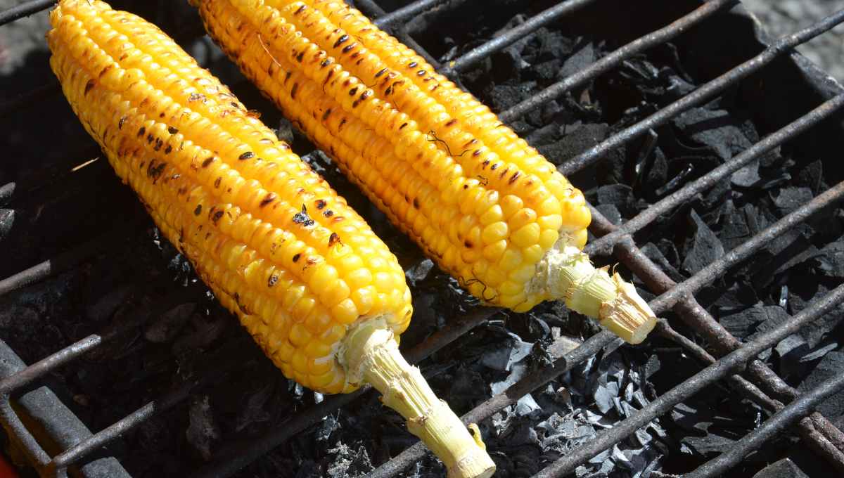 How Long to Cook Corn on the Grill in Foil